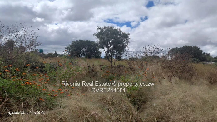 Red-Tiled 3-Bed Home with Verandah on 1500 m² – Waterfalls