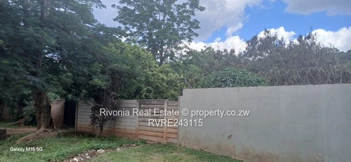 Lush 4217m² Meyrick Park Stand with Mature Shade Tree