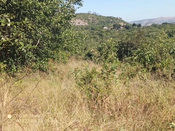 Land