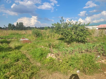 Prime 1381 m² Residential Land in Tynwald, Harare