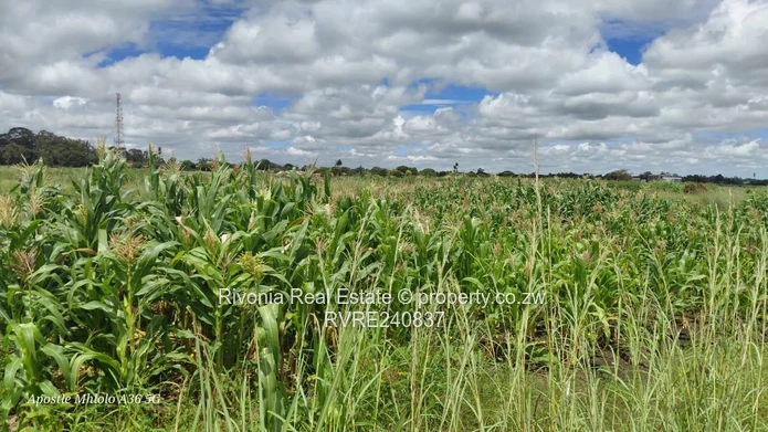 Ideal For Corporate Head Office 