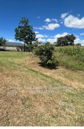 Opportunity not to be missed !!!