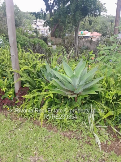 GLEN LORNE 7000sqm 500k