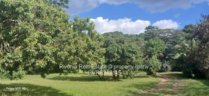 Lush 4217m² Meyrick Park Stand with Mature Shade Tree