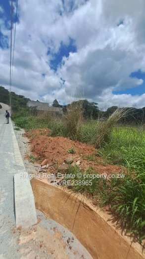 Serviced 2000 m2 Stand in Carrick Creagh — Tarred Road