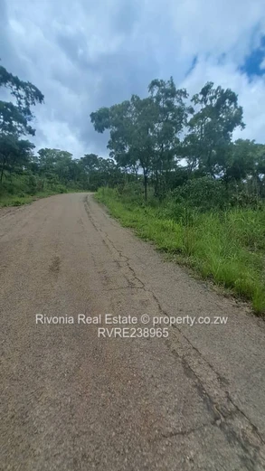 Serviced 2000 m2 Stand in Carrick Creagh — Tarred Road