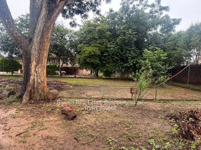 6-Bed Borrowdale Estate on 12,000m² - Pool & Borehole