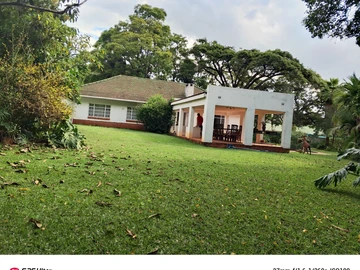 Luxurious 4-Bed Oasis with Pool in Alexandra Park