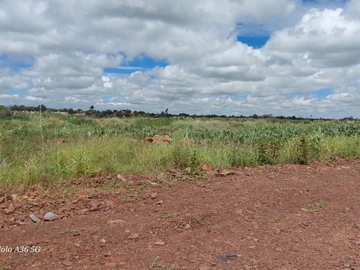 Commercial & Industrial Land