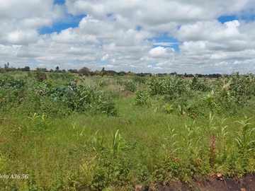 Commercial & Industrial Land