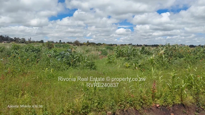 Ideal For Corporate Head Office 