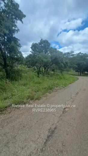 Serviced 2000 m2 Stand in Carrick Creagh — Tarred Road