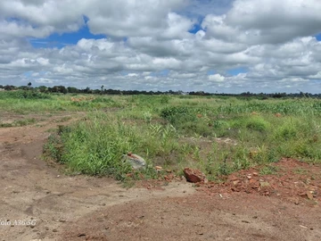 Commercial & Industrial Land