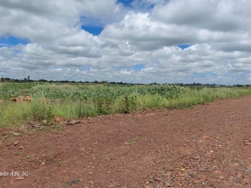 Commercial & Industrial Land