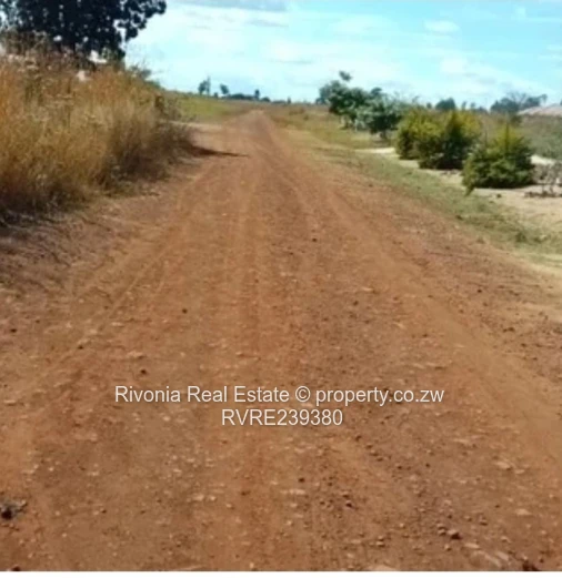 SPITZKOP STAND 2000sqm 25k